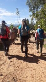 L'équipe en chemin pour le chantier de plantation