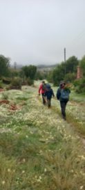 Pioches sur l'épaule et en avant !