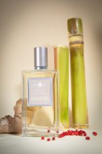affinessence-gingembre-latte